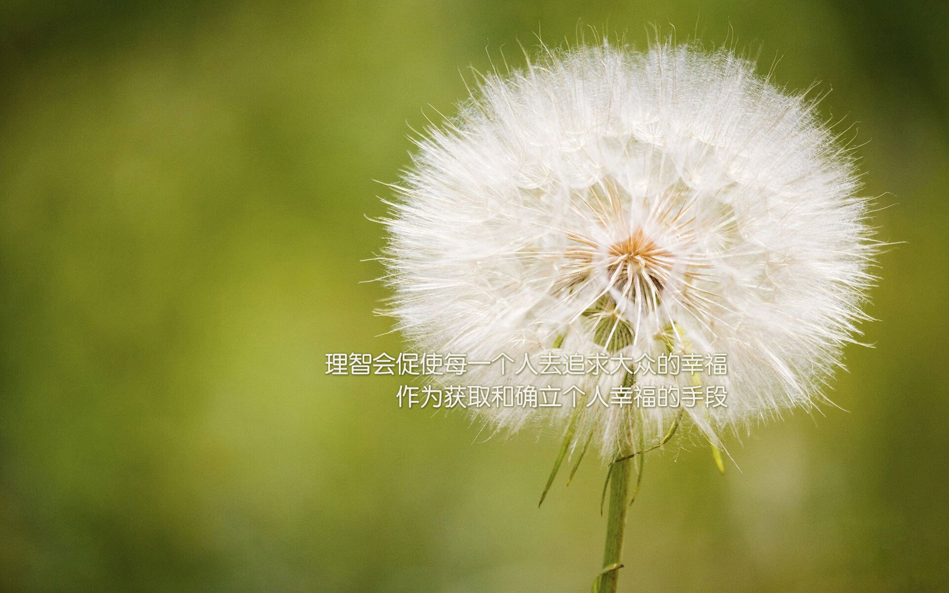 “英超逆转胜局，场面惊险刺激”，“英超”