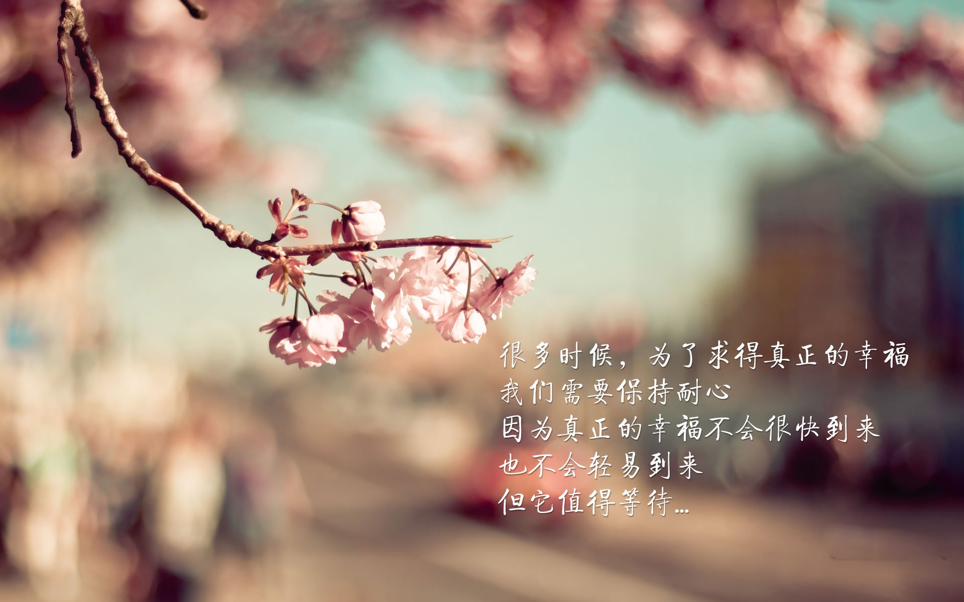 篮球青少年比赛积分规则优化调整，青少年篮球梯队
