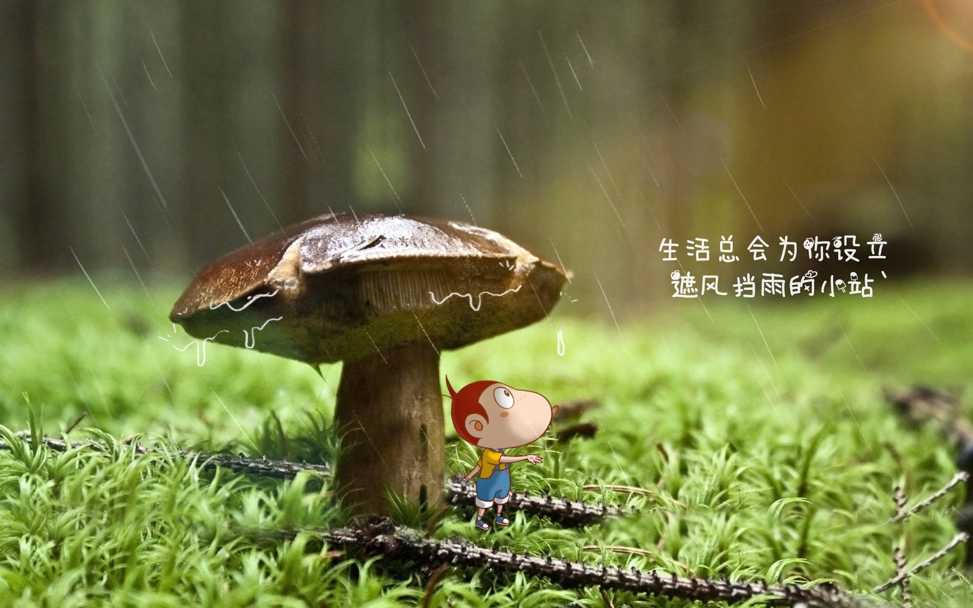 爱游戏 电竞-山东泰山获得胜利，距前四咫尺之遥，山东泰山官宣