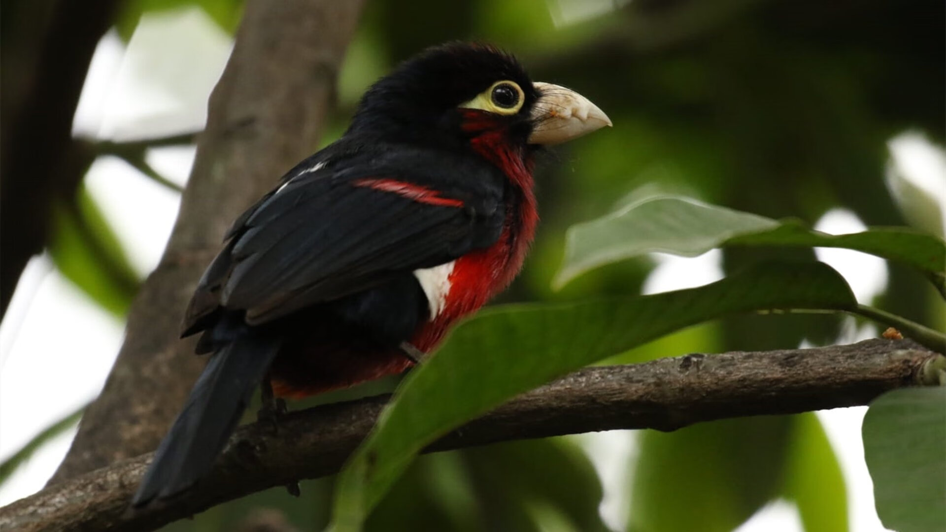 校园体育设施智能维护系统设计研究,体育场智能化系统