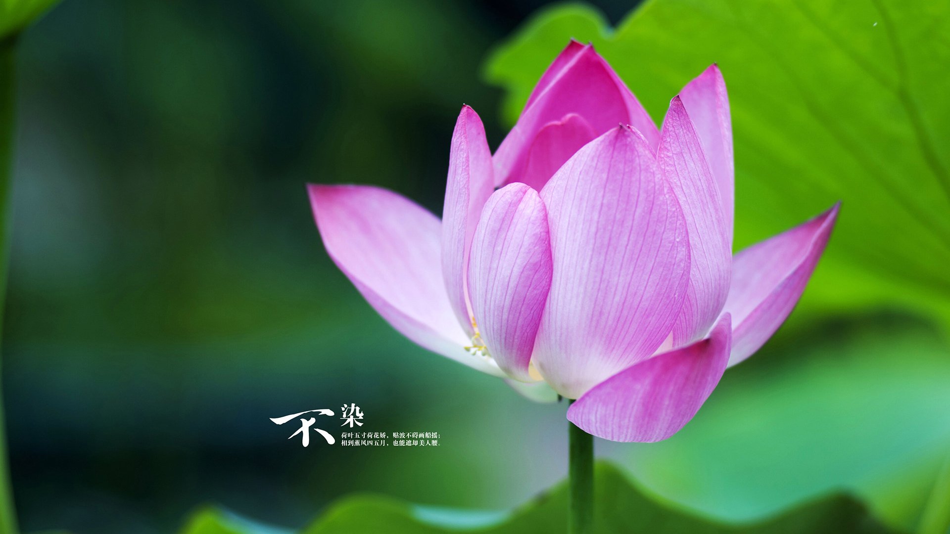 篮球运动员专项耐力训练规划与实施,篮球锻炼耐力几颗星