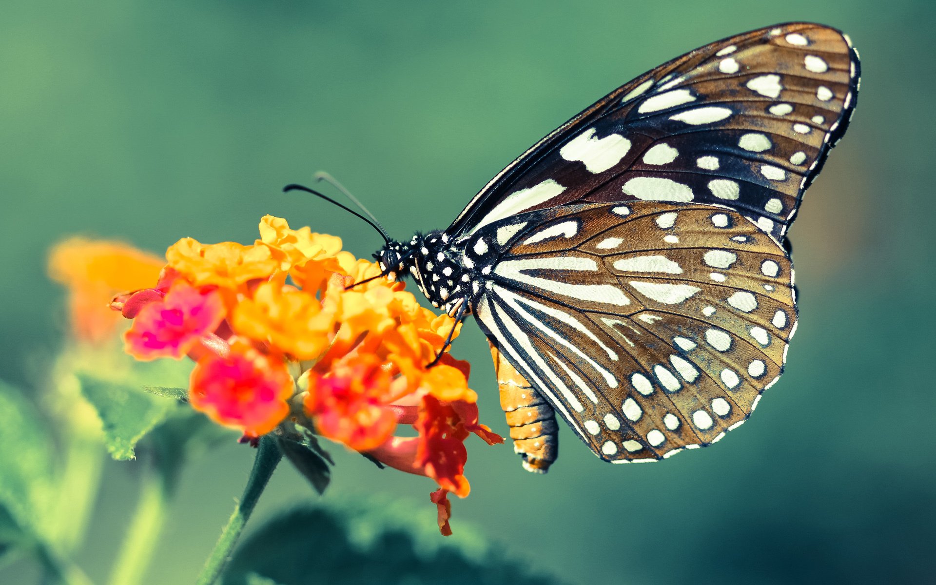 高校运动损伤康复技术研究与推广,运动损伤康复专业排名
