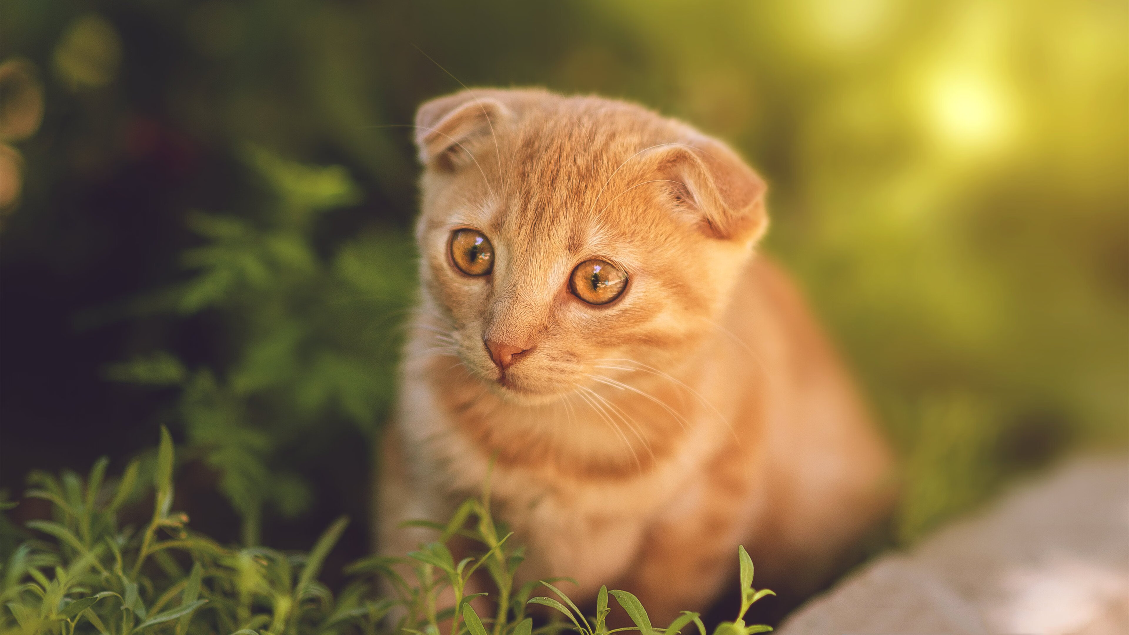 AYX SPORTS-中国三人女篮发展潜力巨大 期待未来辉煌，中国三人女篮选手