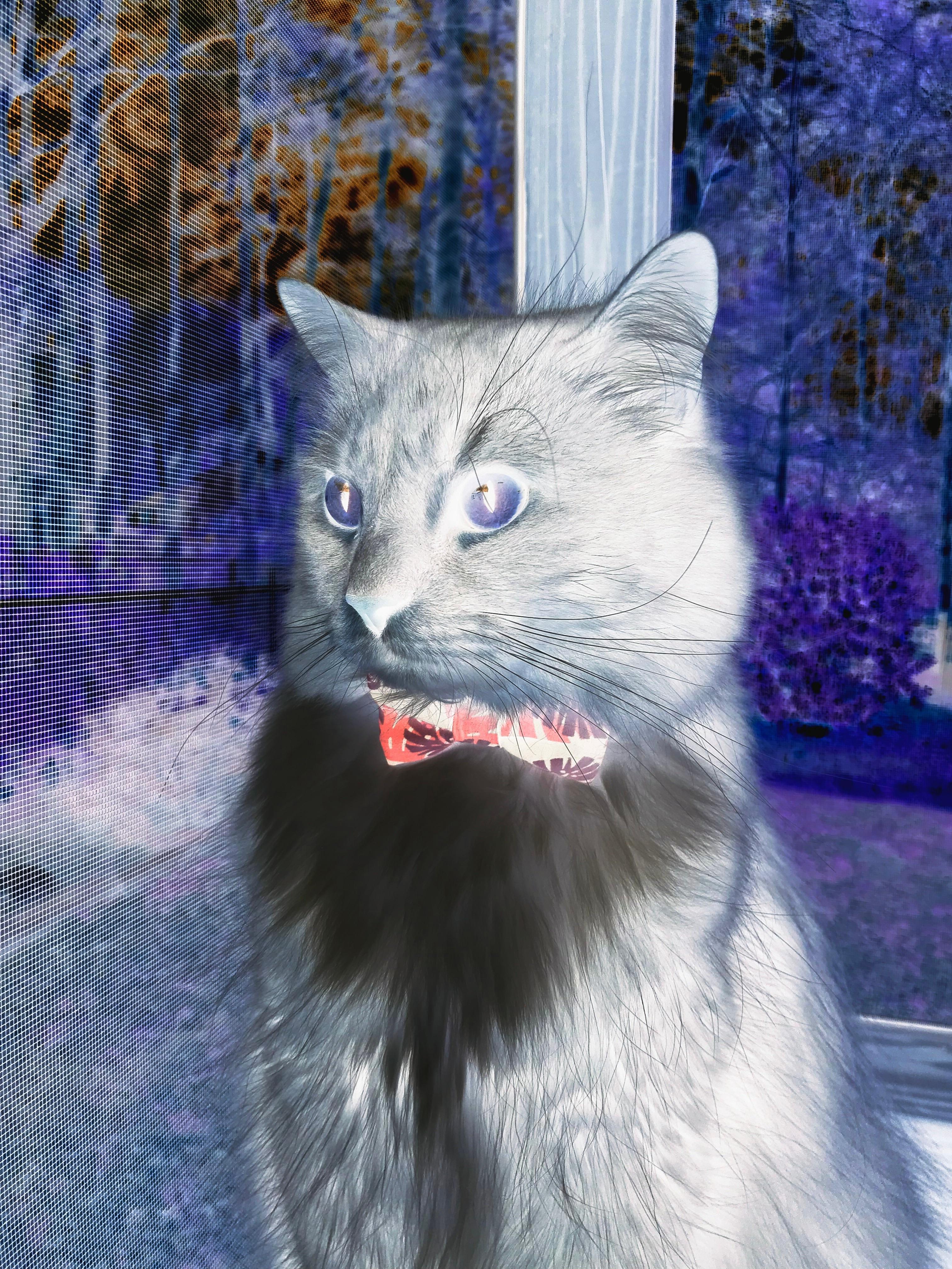 爱游戏体育官方网站-中超球队备战期体能训练强度升级，中超球员身体素质