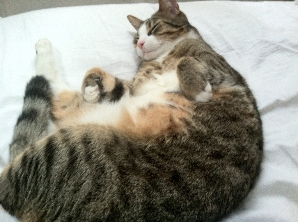 AIYOUXI.COM-保级球队心理博弈影响赛季后半程表现，保级球队夺冠