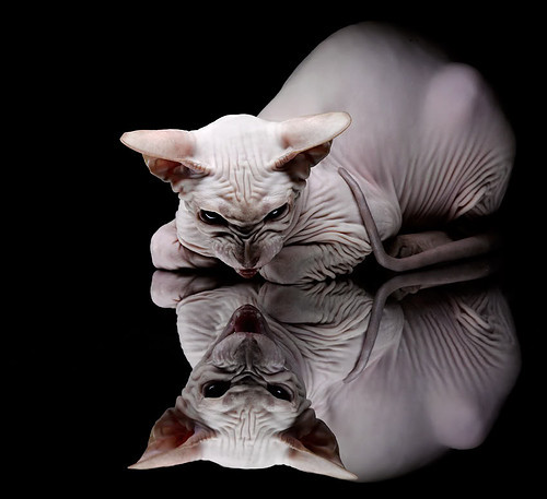 AYX体育-印度赛制的新机遇：如何为本土球员打开国际大门，印度举办赛事