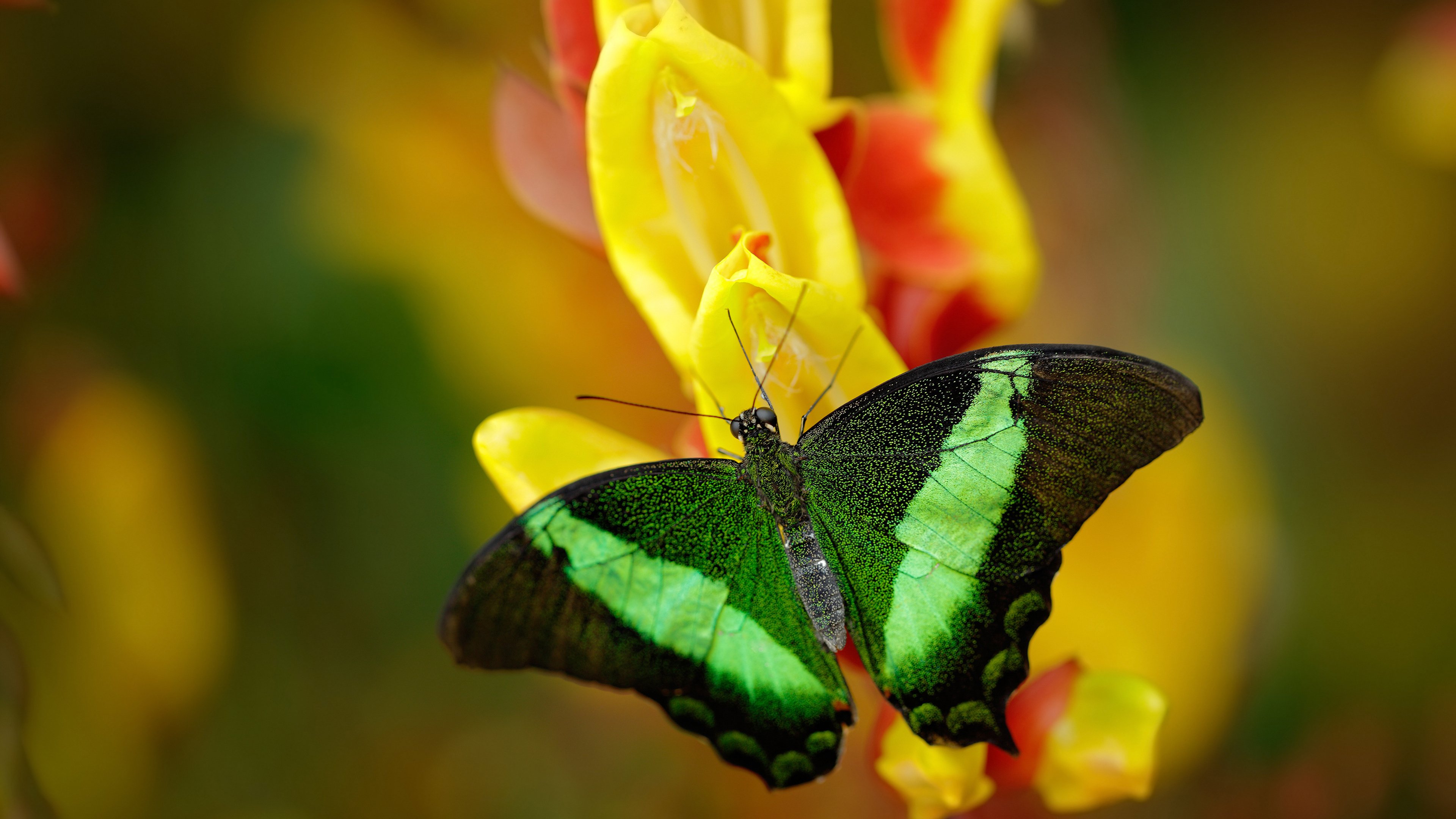 国际热身赛中国足球爆冷 球迷分析比赛失利原因,中国足球队热身赛