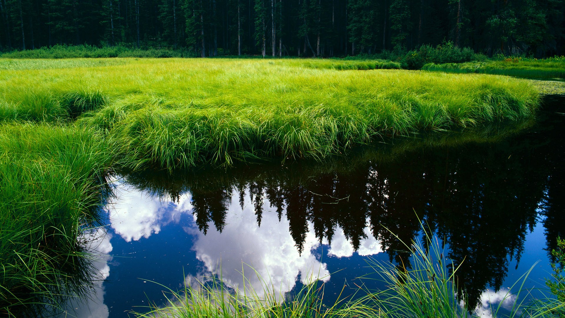 万乐天泳池内外双重突破，万乐天 游泳
