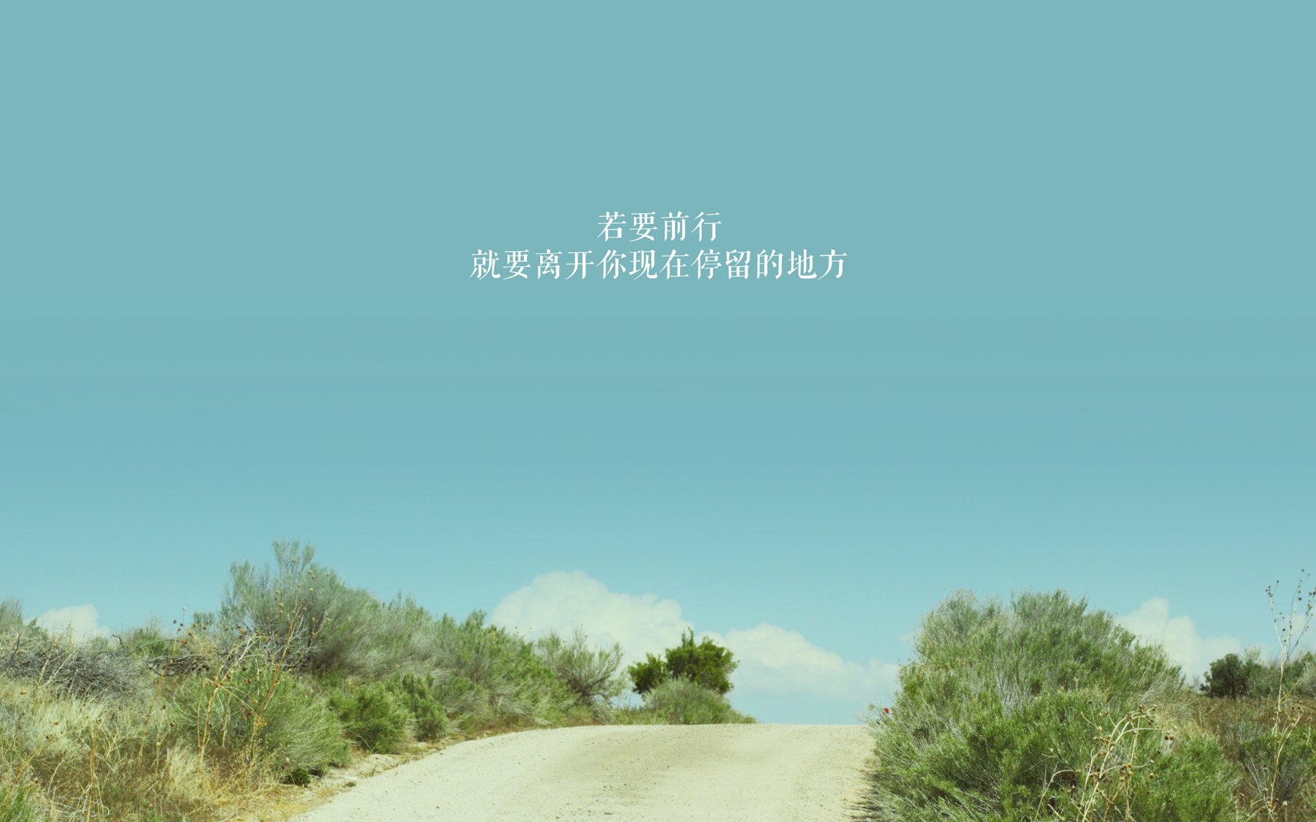 比利时男篮在欧洲预赛中拼搏到底,向奥运奖牌发起冲击,比利时男篮国家队