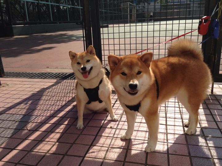 覃海洋爆发力强劲 一触即发，覃海洋照片