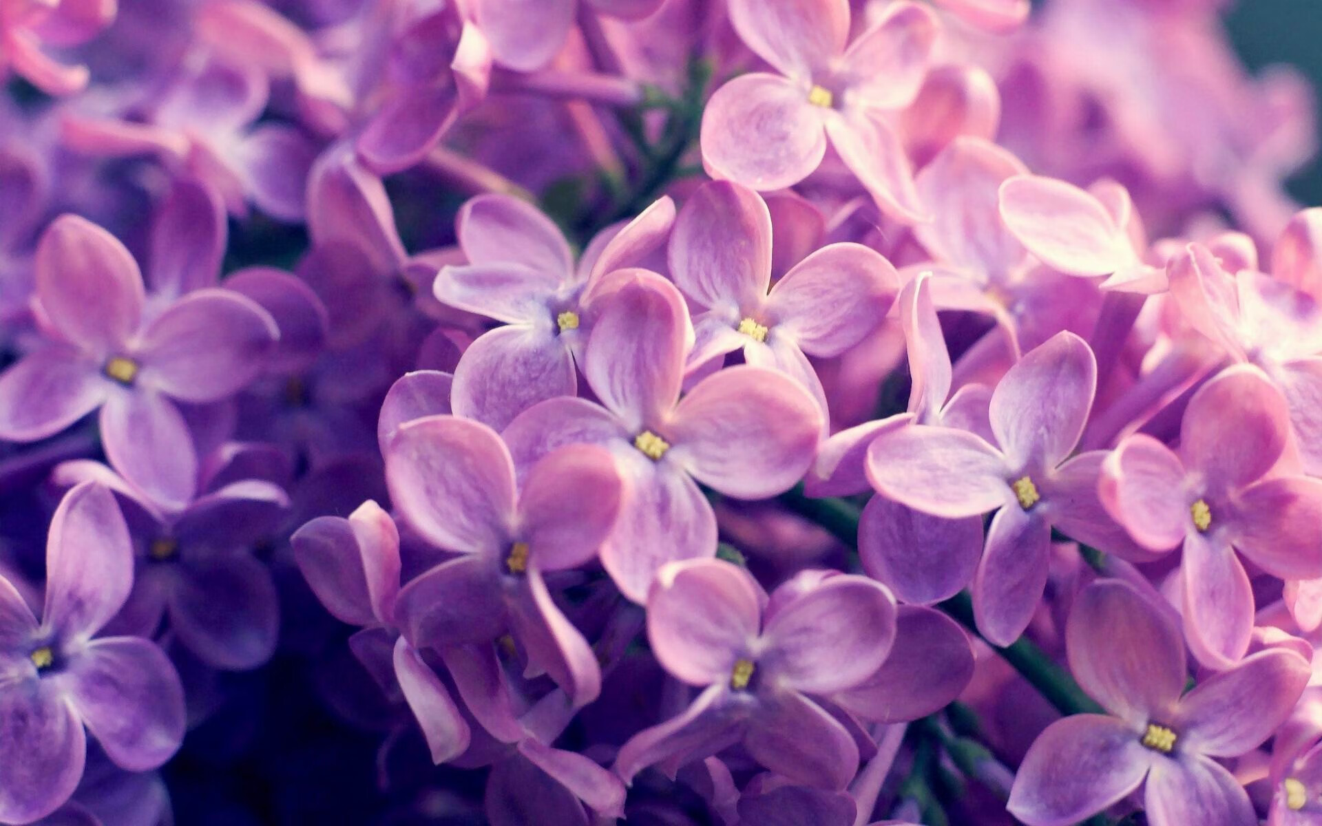 达里尔·基：他通过精确的防守让全黑队的后防线屹立不倒，达里尔是什么职业