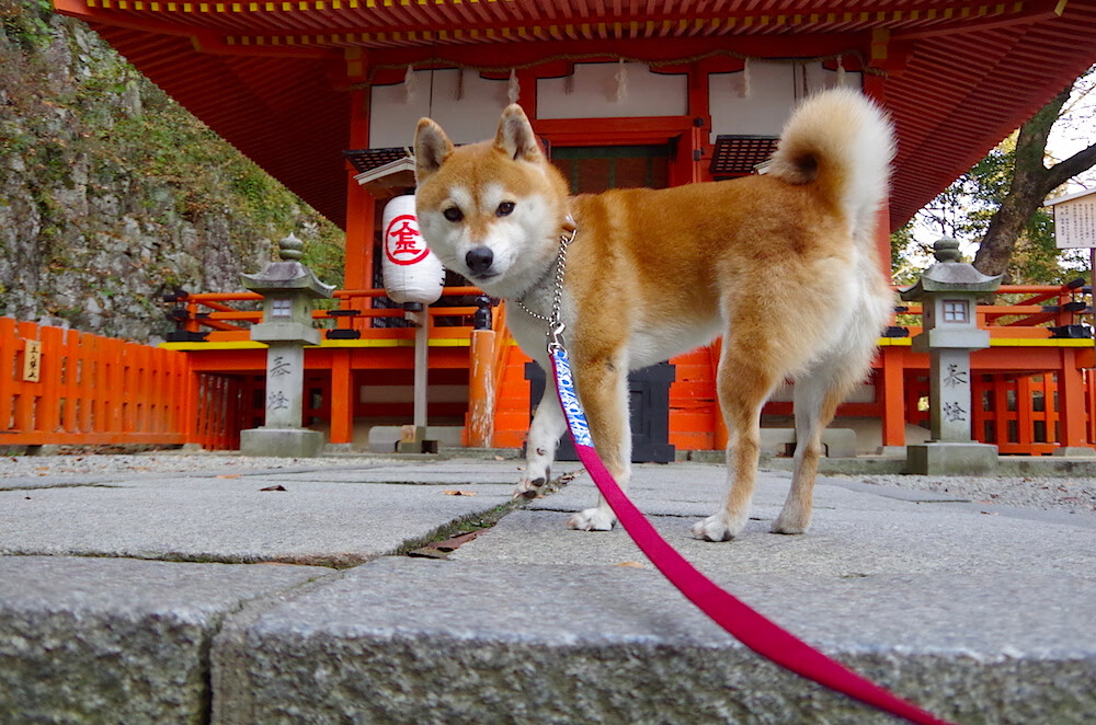 青年联赛潜力球员入选国家队，引发选秀关注，青年超级联赛
