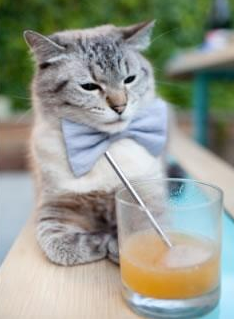 顶级赛事落地带动区域体育基础设施加速完善，大型体育赛事与城市发展